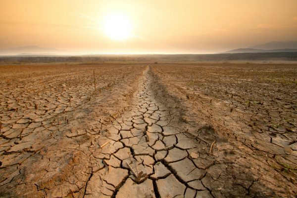 Ραγδαία αύξηση των θανάτων λόγω ακραίας ζέστης στη νότια Ευρώπη- Νέα ευρήματα ηχούν καμπανάκι κινδύνου