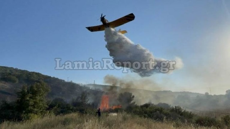 Φωτιά στη Φθιώτιδα: Πρόλαβαν την πυρκαγιά που απειλούσε πευκόφυτη περιοχή στη Μαλεσίνα