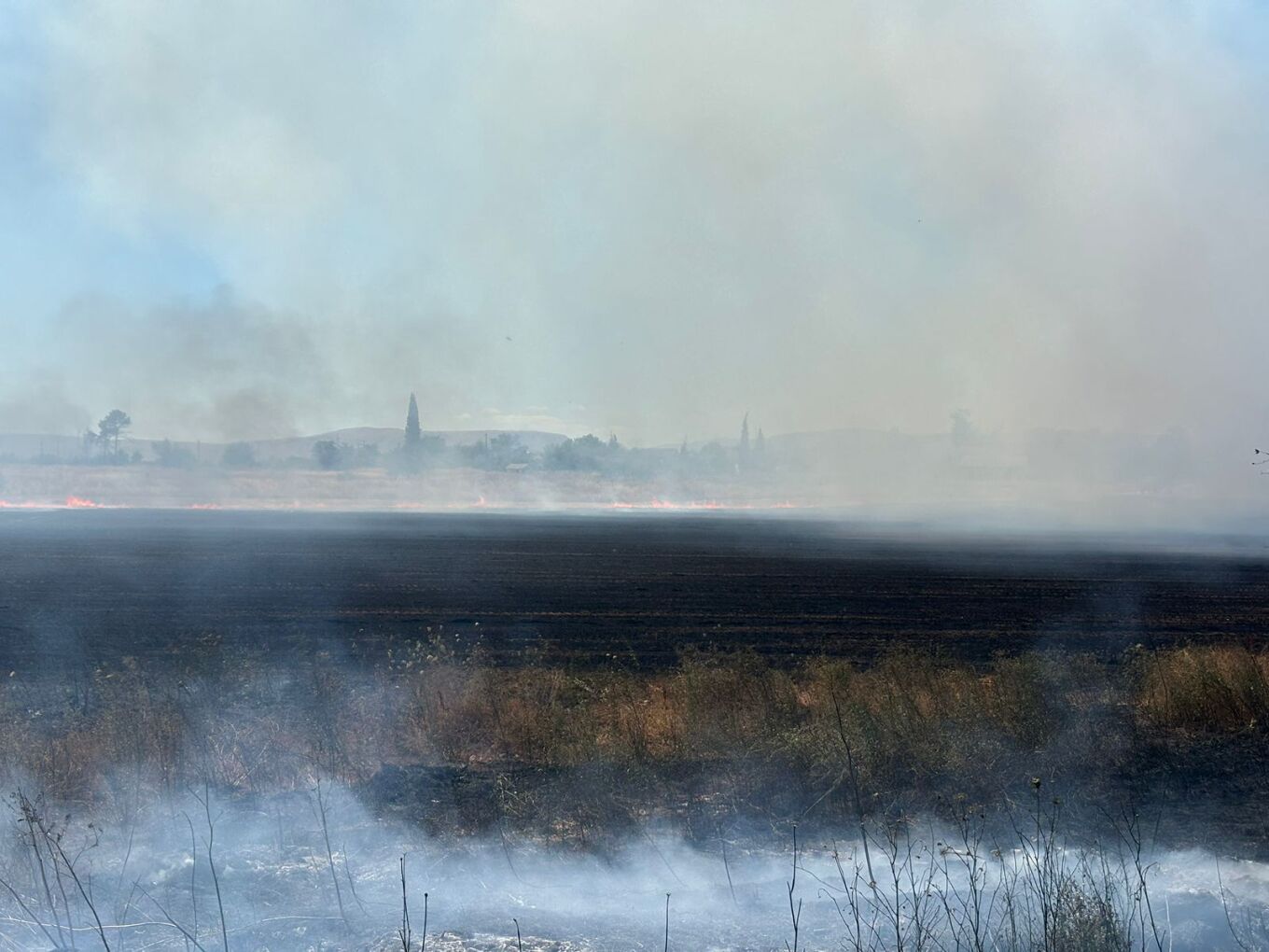 Λάρισα: Πυρκαγιά κοντά στον Αμπελώνα κινητοποίησε ισχυρές δυνάμεις της Πυροσβεστικής