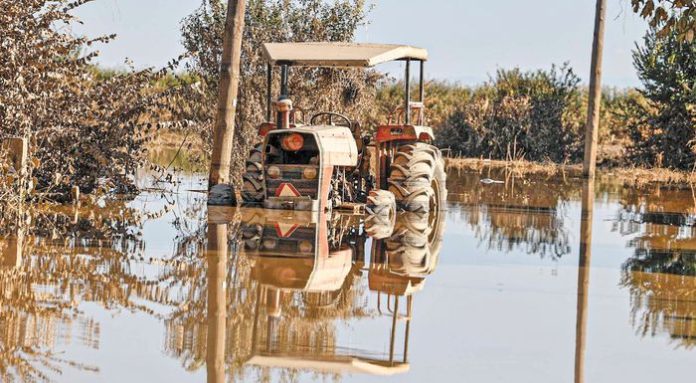 Με πληρωμές από ΟΠΕΚΕΠΕ και ΕΛΓΑ μπαίνει ο Ιούλιος-εξόφληση στους πληγέντες από Daniel Θεσσαλούς