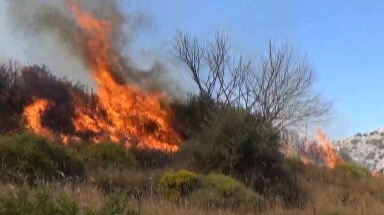 Φθιώτιδα: Φωτιά κοντά σε οικισμό της Ελάτειας - Σηκώθηκαν και εναέρια μέσα