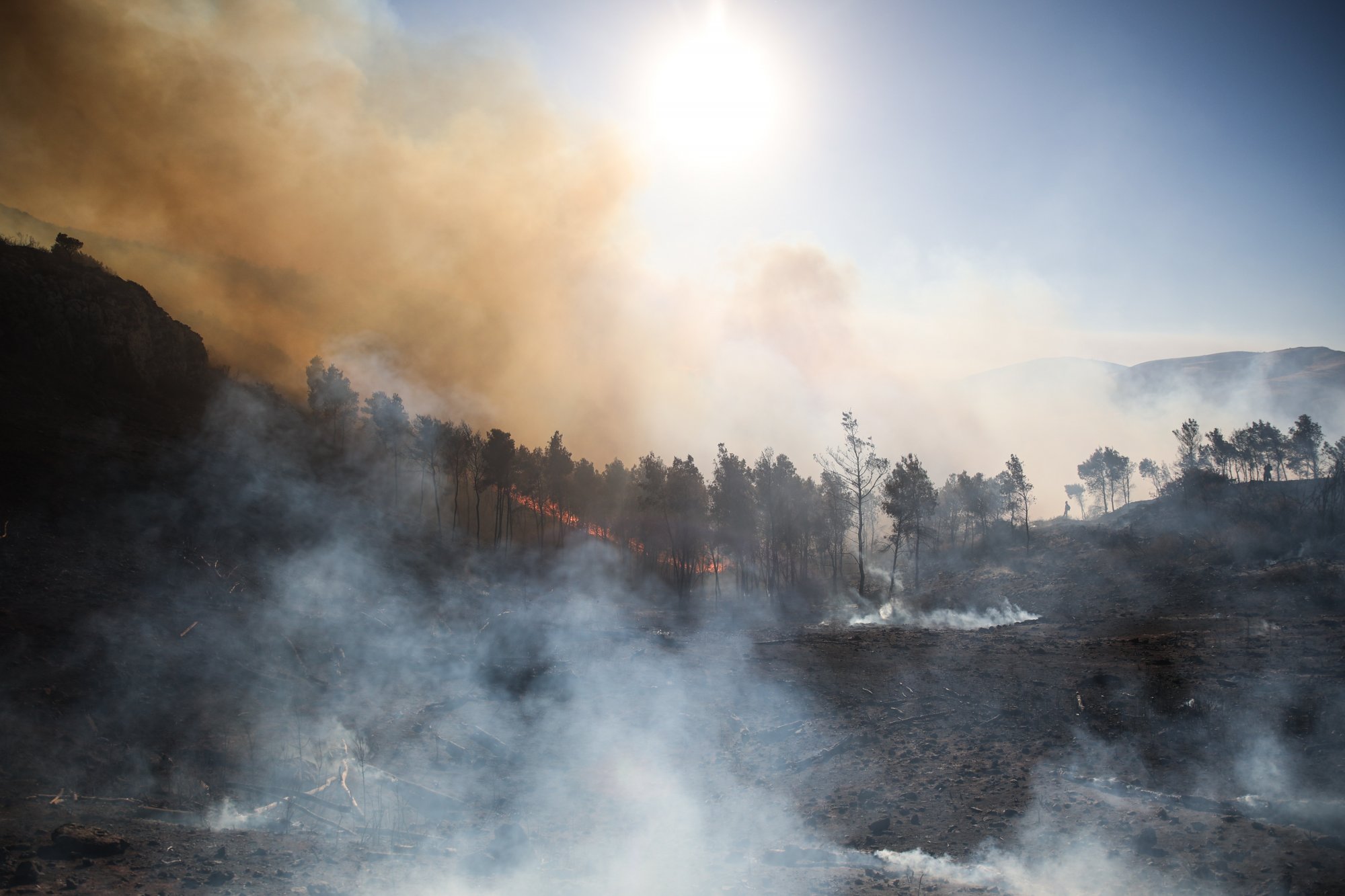 Μαίνονται οι φωτιές  σε Ζάκυνθο και Δίστομο – Χωρίς ενεργό μέτωπο η Σταμάτα