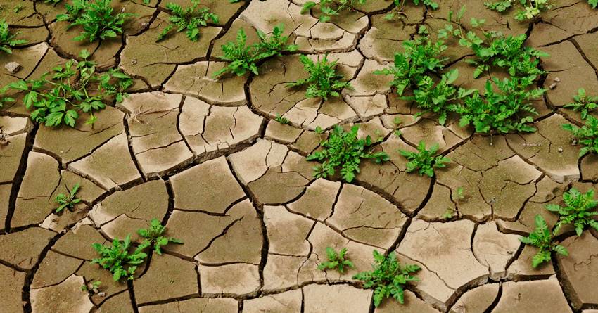 Βαρύτατο χτύπημα στην παραγωγή: Ερημοποίηση για το 30% των εδαφών της Θεσσαλίας