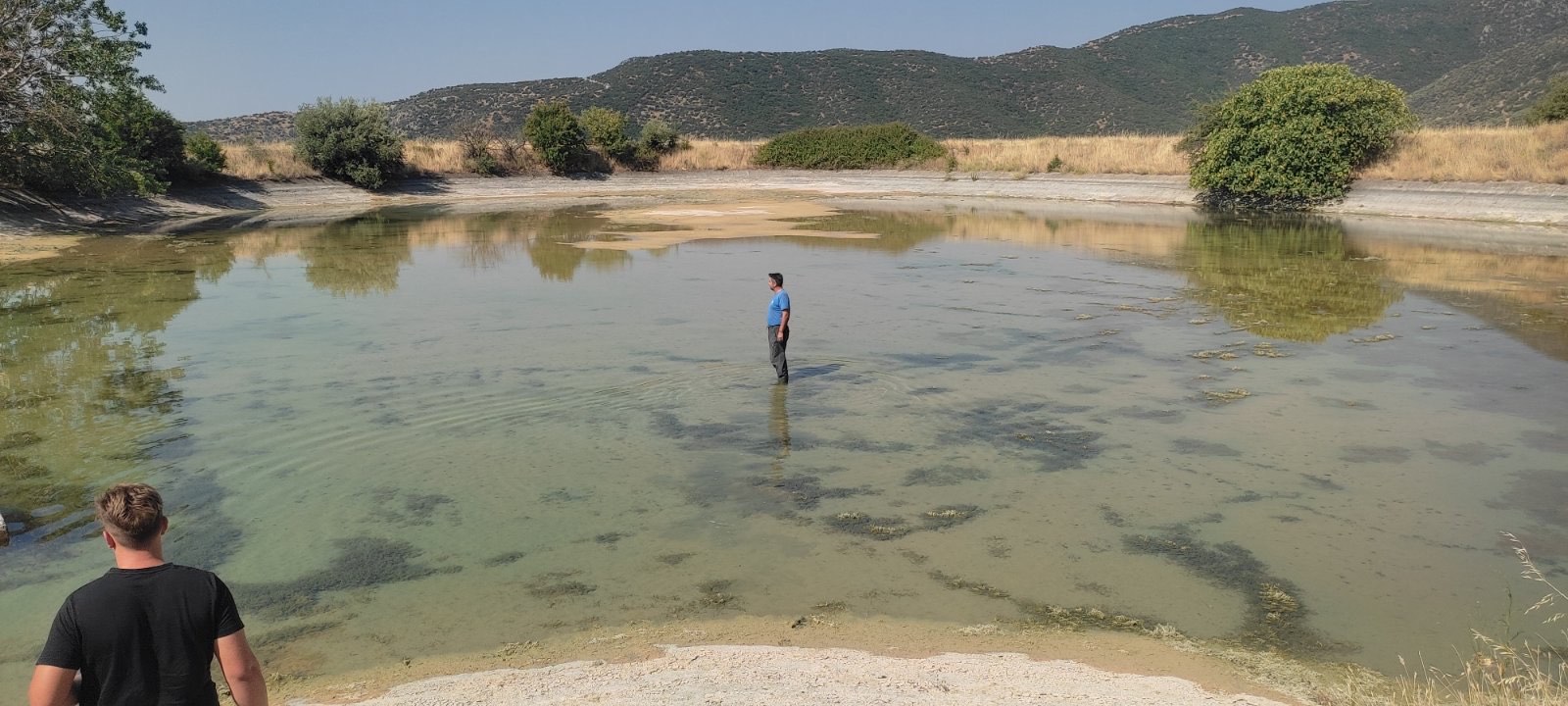 Σε απελπισία και απόγνωση ελαιοπαραγωγοί στους Γόννους