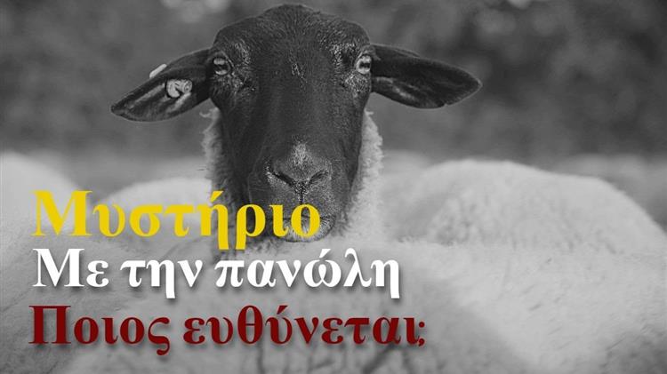 Θεσσαλία: Από γη της Επαγγελίας… κόλαση