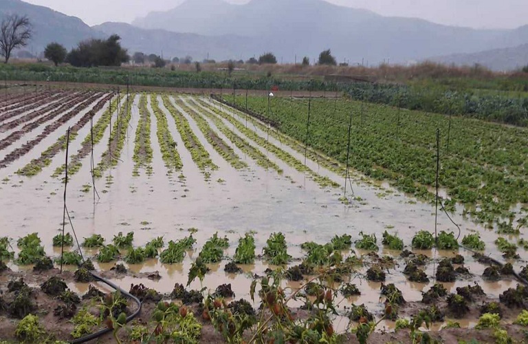 Πιστώθηκαν οι αποζημιώσεις του ΕΛΓΑ, ανάστατοι οι αγρότες στην Καρδίτσα με τα αδιευκρίνιστα ποσά