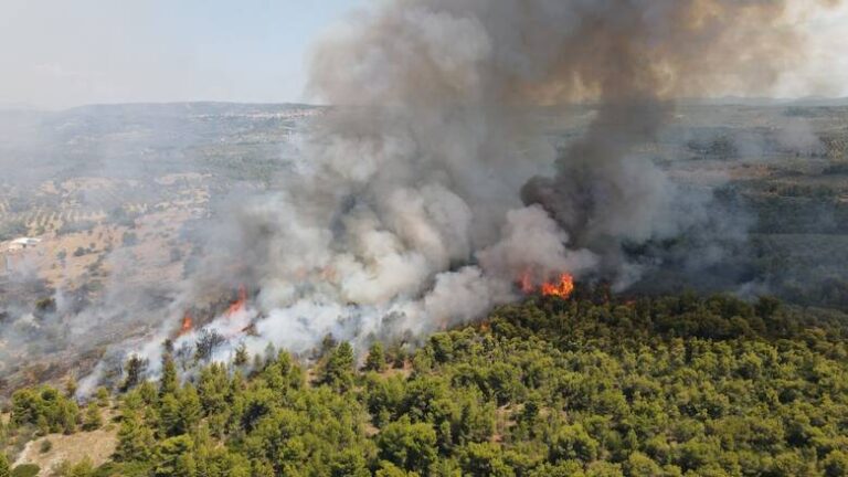 Μέτσοβο: Φωτιά στη θέση Οξυά στο Ανήλιο