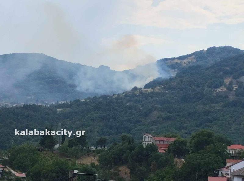 Συναγερμός για φωτιά στην Παναγιά Καλαμπάκας -επιχειρούν και τρία αεροσκάφη στην κατασβεση