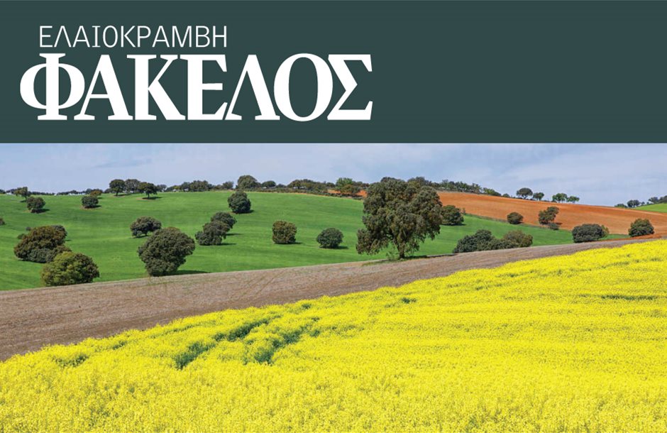 Χάνει έδαφος η ελαιοκράμβη λόγω ανομβρίας, με το ζόρι 200 κιλά στήσιμο το αλώνι