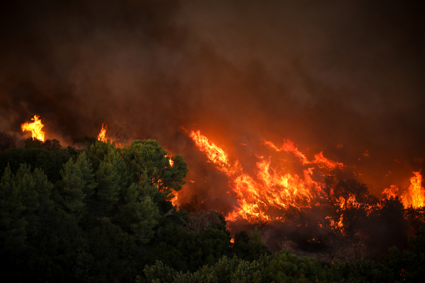 Μαίνεται η φωτιά στην Ανατολική Μάνη - Βίντεο