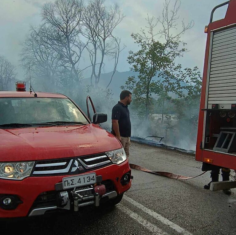 Πυρκαγιά μετά από κεραυνό σε κολώνα της ΔΕΗ μαίνεται στην Ε.Ο Τρικάλων-Ιωαννίνων