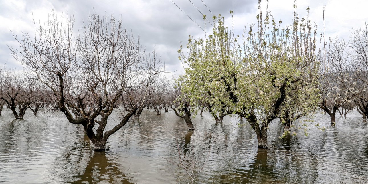 Λέκκας για καταστροφές στη Θεσσαλία: Αυτές είναι οι μακροχρόνιες σοβαρές επιπτώσεις των κλιματικών φαινομένων