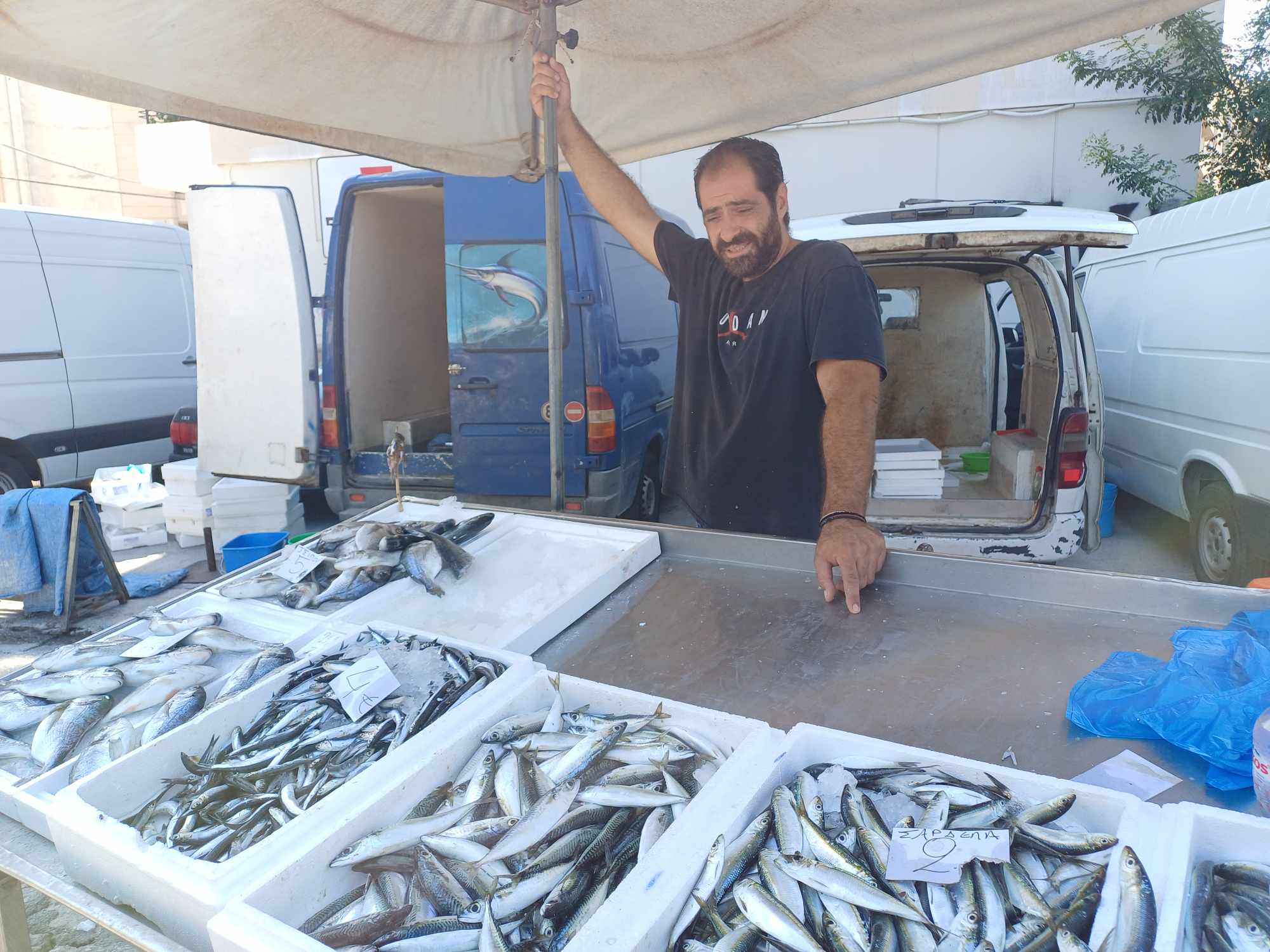 Μουδιασμένοι οι Λαρισαίοι στην κατανάλωση ψαριών - Πλήγμα για τους ψαράδες οι εικόνες των νεκρών ψαριών στον Παγασητικό