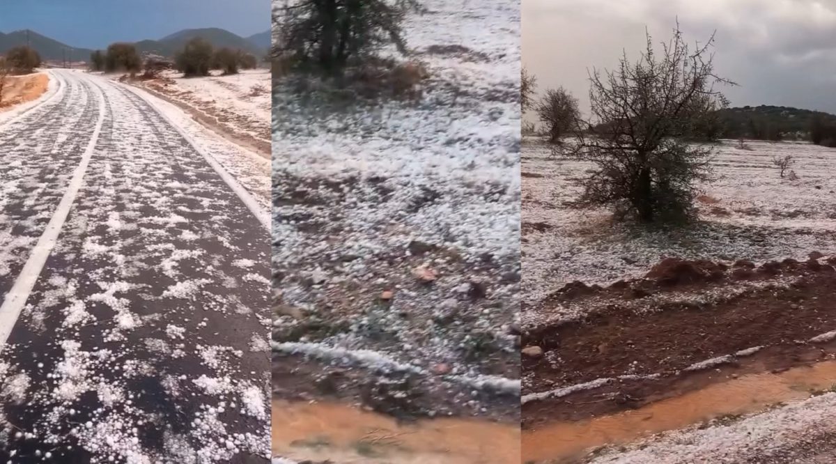 Απίστευτες εικόνες στη Δολίχη της Ελασσόνας – Πυκνό χαλάζι σκέπασε τα πάντα! (ΦΩΤΟ+video)