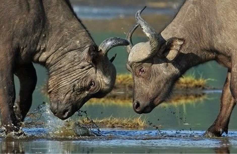 Προς παράταση ΟΣΔΕ μέχρι 7 Οκτωβρίου, με εκτροχιασμό στις πληρωμές