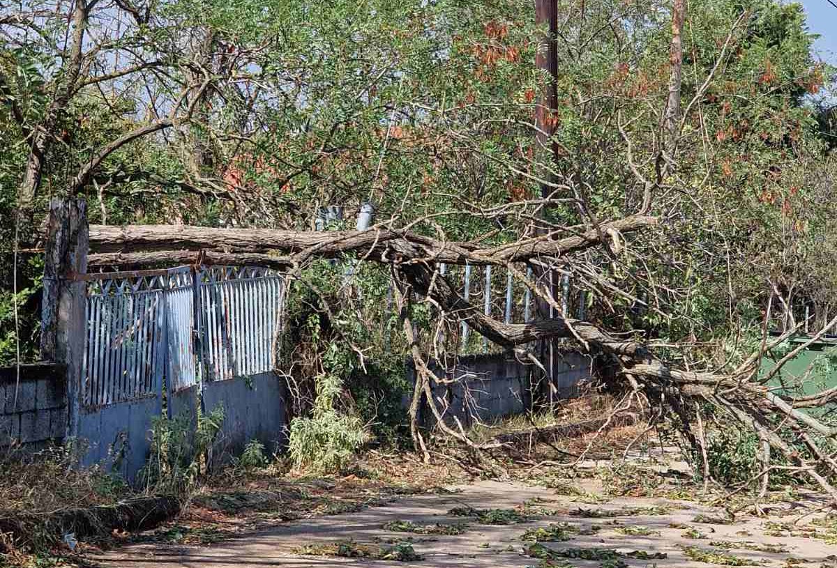 Δήμος Φαρσάλων: Από σήμερα μέχρι και τις 4 Οκτωβρίου οι αιτήσεις για τους πληγέντες από την πρόσφατη κακοκαιρία στα Βρυσιά