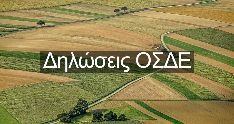 ΟΣΔΕ 2024: Μικρή παράταση στη διαδικασία υποβολής των δηλώσεων σκέφτεται ο ΟΠΕΚΕΠΕ