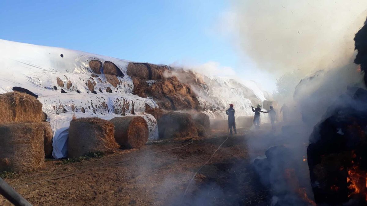 Στις φλόγες κτηνοτροφική μονάδα στο Ευύδριο Φαρσάλων (φωτο)