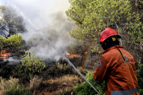 Φωτιά σε δασική έκταση πάνω από την Καρυά Ολύμπου