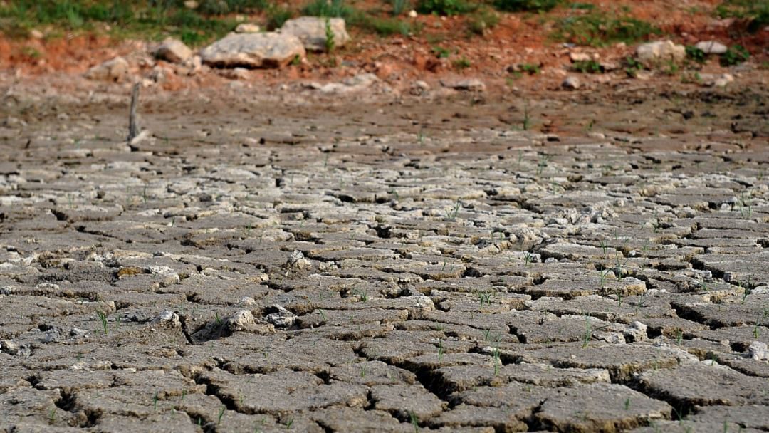 Λαγουβάρδος: Ο πιο ξηρός Οκτώβριος των τελευταίων 15 ετών-πρoς παράταση  ανομβρίας στη Θεσσαλία μέχρι 15 Νοέμβρη (videο)