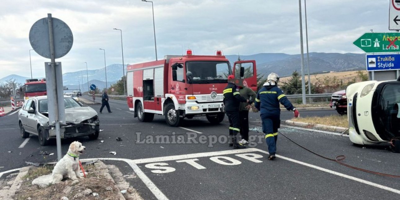 Λαμία: Νεκρός 54χρονος σε τροχαίο -Το σκυλάκι του σώθηκε και περίμενε να τον δει να βγαίνει από το αυτοκίνητο [βίντεο]