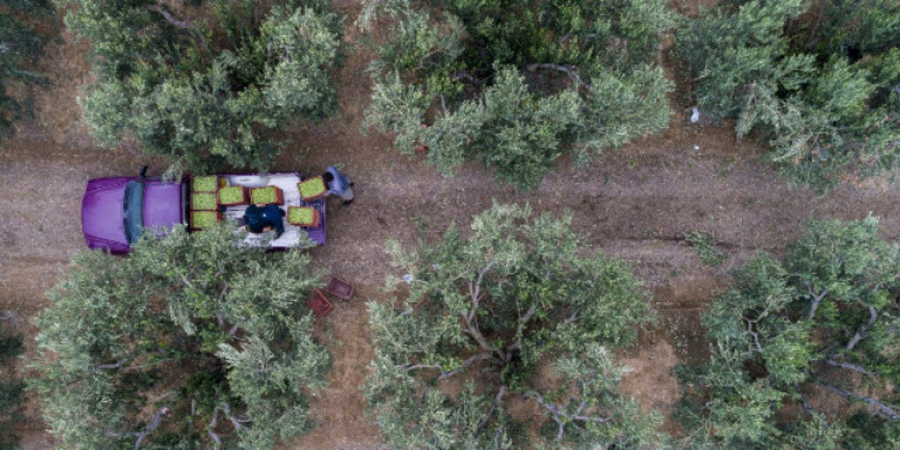 ΟΠΕΚΕΠΕ: Η πληρωμή για τη νιτρορύπανση έγινε κανονικά, παρά τα αντίθετα δημοσιεύματα