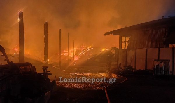 Καταστροφική φωτιά σε μεγάλη κτηνοτροφική μονάδα στον Αλμυρό – Απομακρύνθηκαν 2.500 ζώα