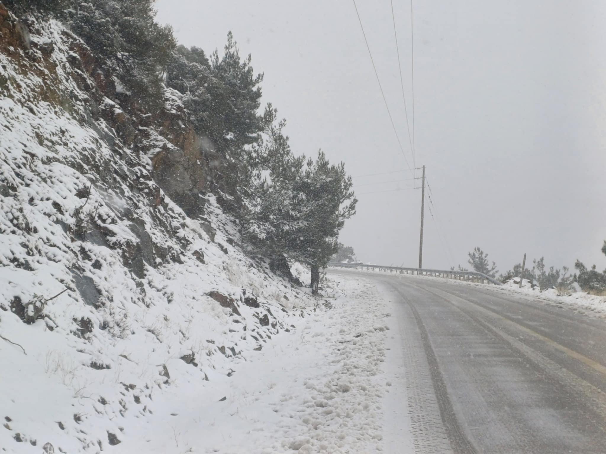 Κατέβηκε χαμηλά το χιόνι στον Κίσσαβο λίγο πάνω από το Συκούριο- σφοδρή χιονόπτωση (ΦΩΤΟ +video)