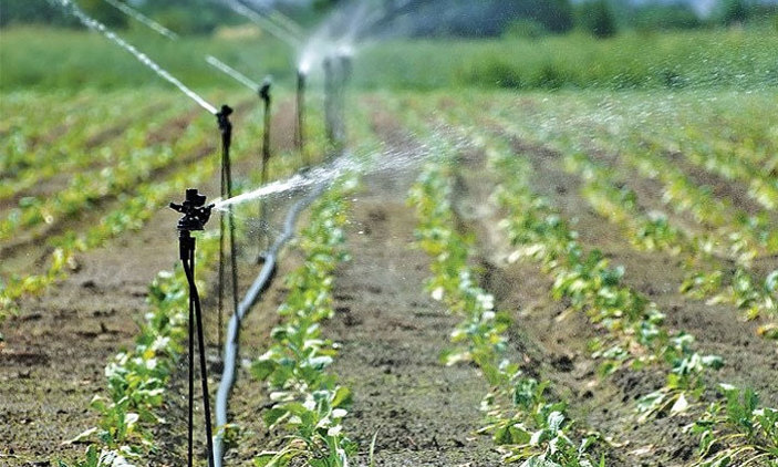 Αύξηση του περιβαλλοντικού μπόνους για τους βαμβακοκαλλιεργητές επιδιώκει το ΥΠΑΑΤ