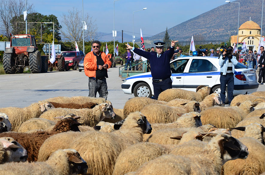 Η κυβέρνηση μας εξαναγκάζει να αφήνουμε τα ζώα μας και να βγούμε στον δρόμο