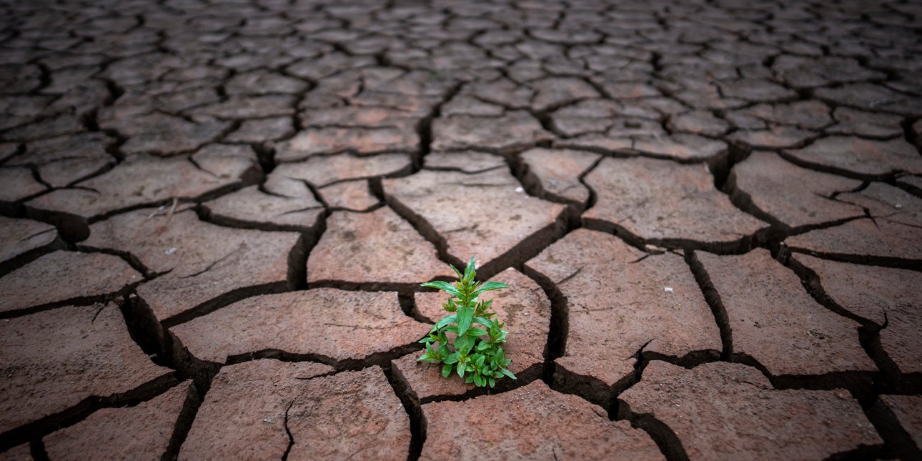 ΠΕΡΙΒΑΛΛΟΝ - Εφιαλτικό σενάριο: «Ημέρα μηδέν» με ακραία λειψυδρία ακόμη και πριν από το 2030, βλέπουν επιστήμονες ΠΕΡΙΒΑΛΛΟΝ - Εφιαλτικό σενάριο: «Ημέρα μηδέν» με ακραία λειψυδρία ακόμη και πριν από το 2030, βλέπουν επιστήμονες