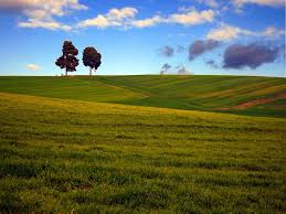 Η Ελλάδα, η Mercosur το δίλλημμα ΗΠΑ ή Ευρώπη και...η γεωργία στο περιθώριο Η Ελλάδα, η Mercosur το δίλλημμα ΗΠΑ ή Ευρώπη και...η γεωργία στο περιθώριο