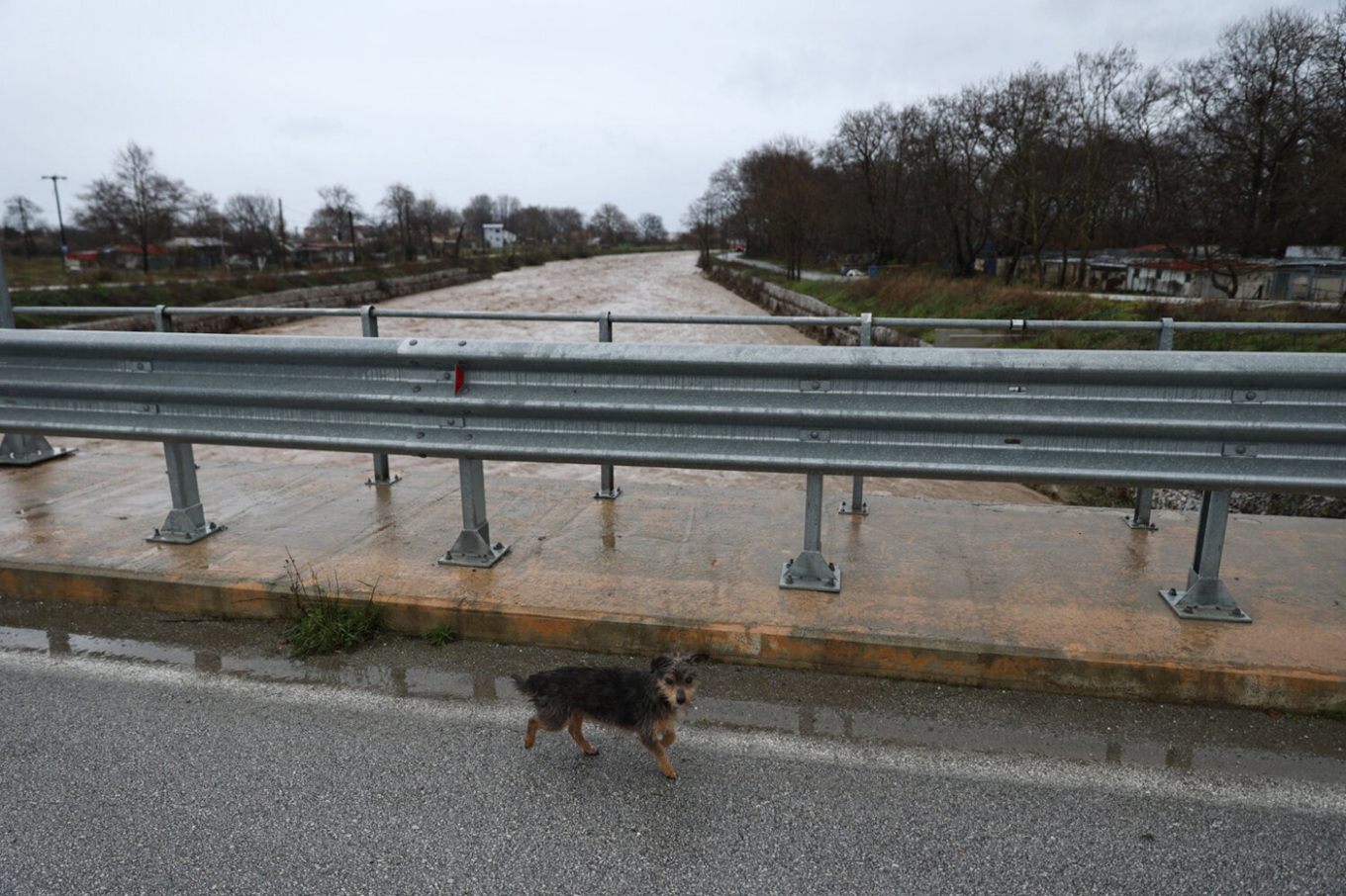 ΘΕΣΣΑΛΙΑ - Μεγάλα ύψη βροχής στη Θεσσαλία: 175 χιλιοστά στη Ζαγορά, 102 στην Αγιά, 47 στη Λάρισα ΘΕΣΣΑΛΙΑ - Μεγάλα ύψη βροχής στη Θεσσαλία: 175 χιλιοστά στη Ζαγορά, 102 στην Αγιά, 47 στη Λάρισα