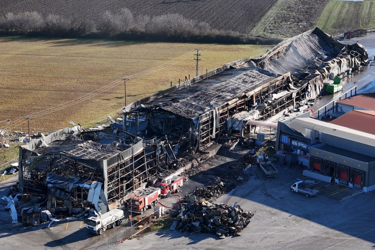 Η απάντηση Κουρέτα για το επενδυτικό πρόγραμμα της Βιολάντα: Τρέχει από το 2021 Η απάντηση Κουρέτα για το επενδυτικό πρόγραμμα της Βιολάντα: Τρέχει από το 2021