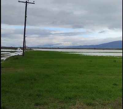 ΒΟΛΟΣ - Μεγάλες ζημιές στις καλλιέργειες σε Στεφανοβίκειο και Ριζόμυλο – Βυθίστηκαν χωράφια, πλημμύρισε χείμαρρος ΒΟΛΟΣ - Μεγάλες ζημιές στις καλλιέργειες σε Στεφανοβίκειο και Ριζόμυλο – Βυθίστηκαν χωράφια, πλημμύρισε χείμαρρος