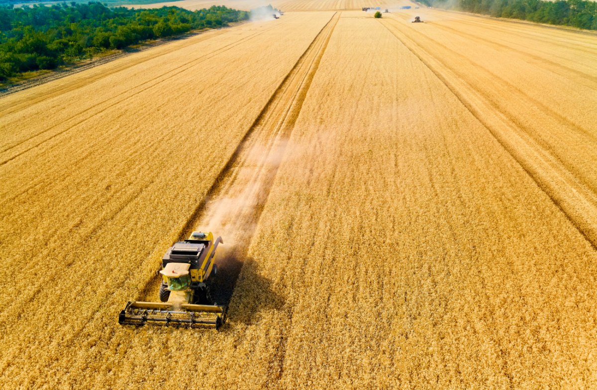 ΠΕΡΙΒΑΛΛΟΝ - RENURE: H EE προωθεί λιπάσματα από κοπριά για να περιορίσει τη χημική ρύπανση ΠΕΡΙΒΑΛΛΟΝ - RENURE: H EE προωθεί λιπάσματα από κοπριά για να περιορίσει τη χημική ρύπανση