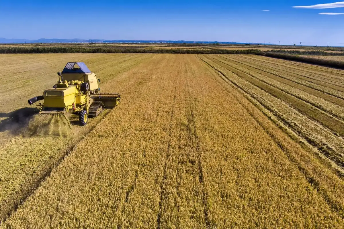 Αγροτικά - ΚΥΔ: «Βόμβα» 260 εκατ. ευρώ – Στον αέρα 100.000 αγρότες με το άνοιγμα του ΟΣΔΕ Αγροτικά - ΚΥΔ: «Βόμβα» 260 εκατ. ευρώ – Στον αέρα 100.000 αγρότες με το άνοιγμα του ΟΣΔΕ