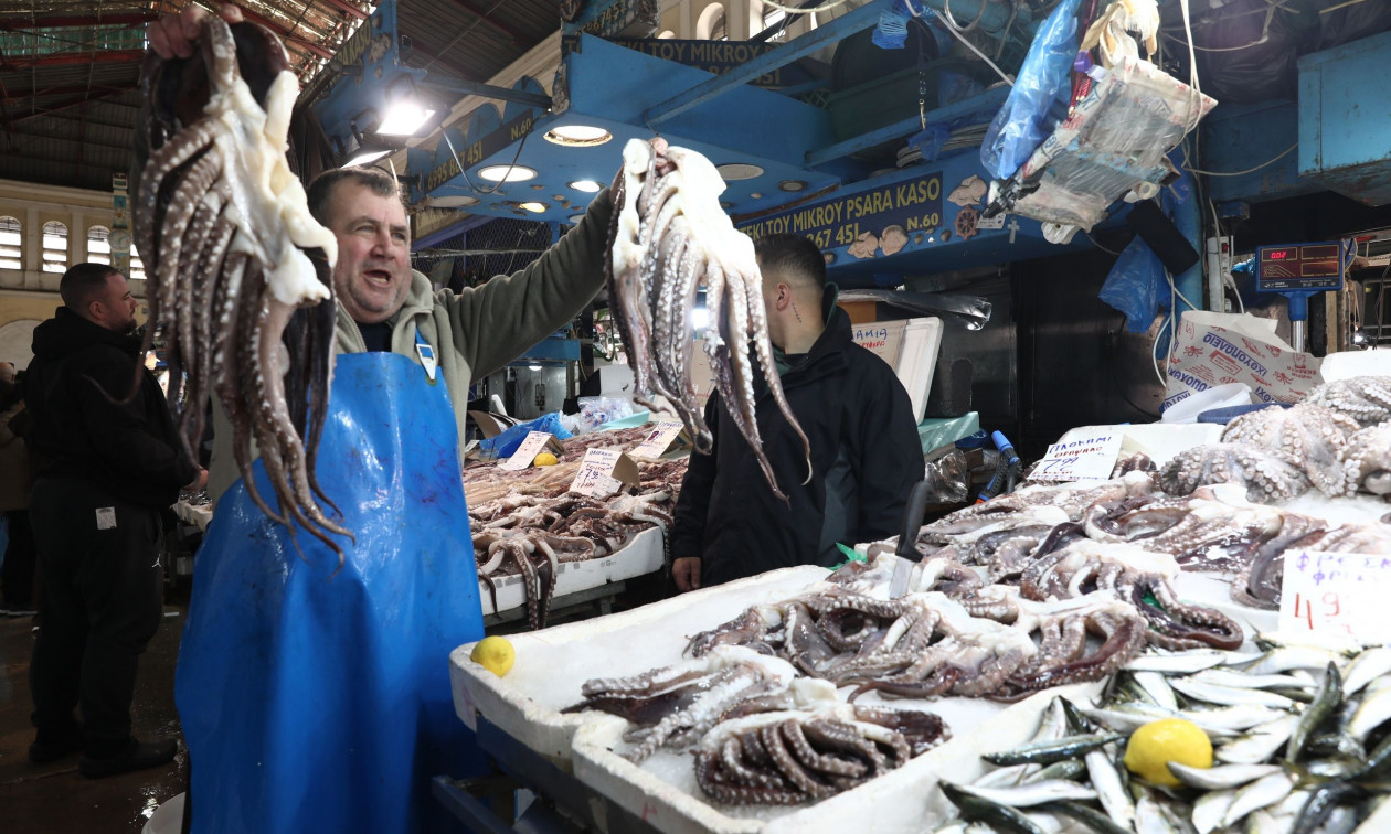 ΟΙΚΟΝΟΜΙΑ - Καθαρά Δευτέρα: Στα ύψη η τιμή των φρέσκων θαλασσινών - Επιλέγουν τα κατεψυγμένα οι καταναλωτές ΟΙΚΟΝΟΜΙΑ - Καθαρά Δευτέρα: Στα ύψη η τιμή των φρέσκων θαλασσινών - Επιλέγουν τα κατεψυγμένα οι καταναλωτές