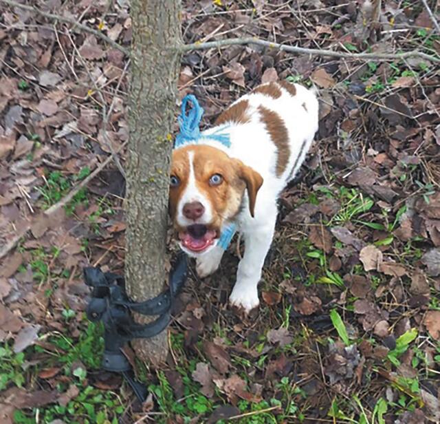 ΚΑΡΔΙΤΣΑ - Το περιστατικό στην Καρδίτσα και οι σκιές υποθέσεων που δεν απέδωσαν δικαιοσύνη, όπως του Ολιβερ στην Αράχοβα ΚΑΡΔΙΤΣΑ - Το περιστατικό στην Καρδίτσα και οι σκιές υποθέσεων που δεν απέδωσαν δικαιοσύνη, όπως του Ολιβερ στην Αράχοβα