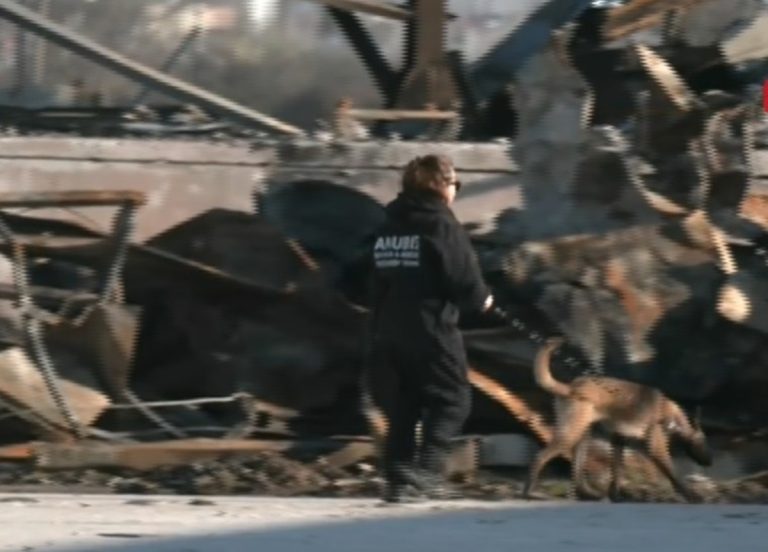 ΤΡΙΚΑΛΑ - Με τη συνδρομή σκύλων – ανιχνευτών οι έρευνες στη «Βιολάντα» ΤΡΙΚΑΛΑ - Με τη συνδρομή σκύλων – ανιχνευτών οι έρευνες στη «Βιολάντα»