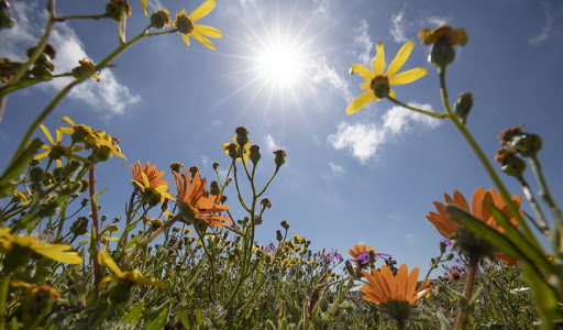 ΘΕΣΣΑΛΙΑ - Θερμότερος από τα κανονικά επίπεδα ο Φεβρουάριος – Συν 2,3 βαθμούς στη Θεσσαλία ΘΕΣΣΑΛΙΑ - Θερμότερος από τα κανονικά επίπεδα ο Φεβρουάριος – Συν 2,3 βαθμούς στη Θεσσαλία