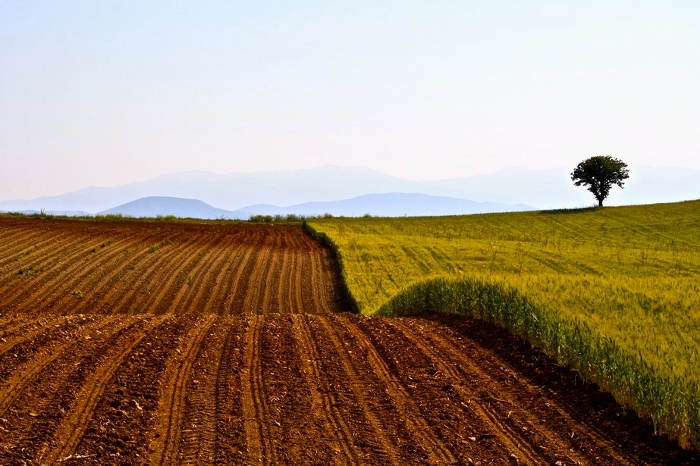 Ενημέρωση Τακούδη για τους αγρότες: πότε περιμένουμε βροχές στη Θεσσαλία-δεν διαφαίνεται παγετός