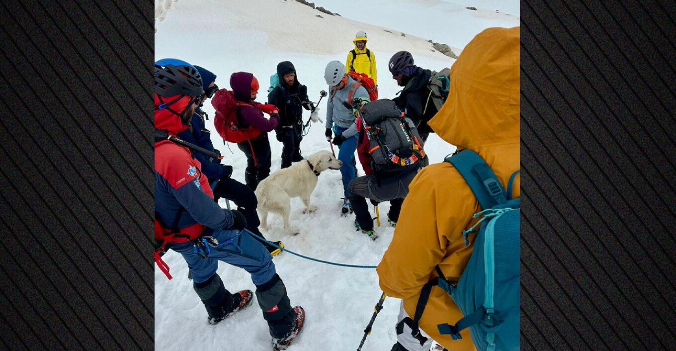 ΤΡΙΚΑΛΑ - Σκύλος επέζησε 9 μέρες σε υψόμετρο 1.900 μ. στο Μέτσοβο, τον εντόπισαν τυχαία ορειβάτες και τον επέστρεψαν στον ιδιοκτήτη του ΤΡΙΚΑΛΑ - Σκύλος επέζησε 9 μέρες σε υψόμετρο 1.900 μ. στο Μέτσοβο, τον εντόπισαν τυχαία ορειβάτες και τον επέστρεψαν στον ιδιοκτήτη του