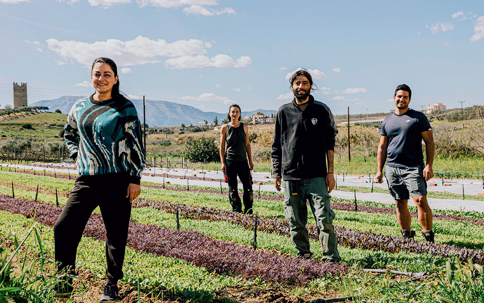 ΑΓΡΟΤΙΚΑ - ΕΛΣΤΑΤ: Μείωση της απασχόλησης το δ’ τρίμηνο του 2025 – «Σβήνουν» τα αγροτικά επαγγέλματα ΑΓΡΟΤΙΚΑ - ΕΛΣΤΑΤ: Μείωση της απασχόλησης το δ’ τρίμηνο του 2025 – «Σβήνουν» τα αγροτικά επαγγέλματα
