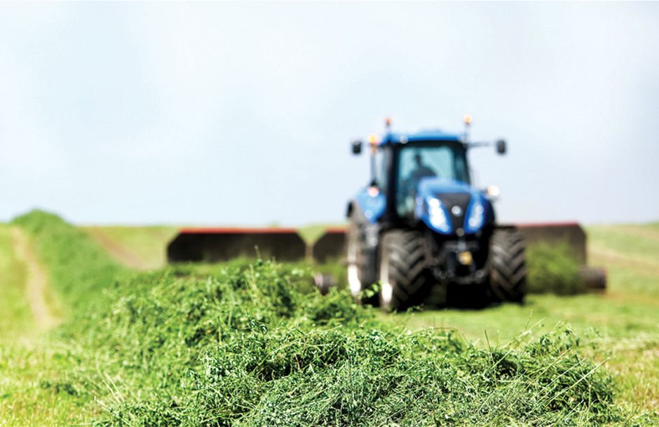 Αγροτικά - Θέμα το καρτελάκι στη μηδική, προς 60 ευρώ η συνδεδεμένη σόγιας, στα 14 ευρώ ανά κεφάλι το πριμ αιγοπροβάτων Αγροτικά - Θέμα το καρτελάκι στη μηδική, προς 60 ευρώ η συνδεδεμένη σόγιας, στα 14 ευρώ ανά κεφάλι το πριμ αιγοπροβάτων