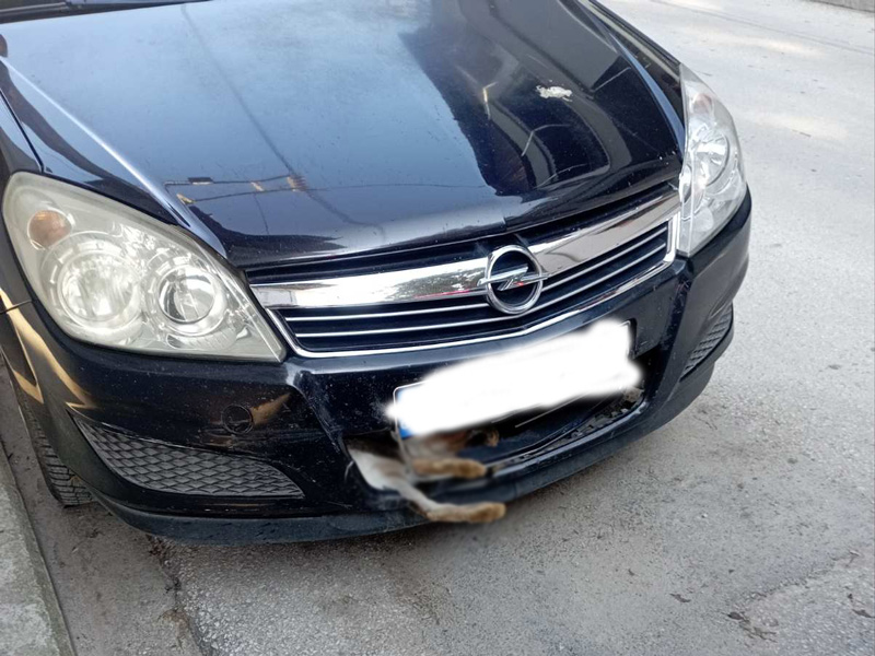 Τύρναβος: Τράκαρε με λαγό, πάρκαρε και έφυγε χωρίς να καταλάβει ότι τον… κουβαλούσε