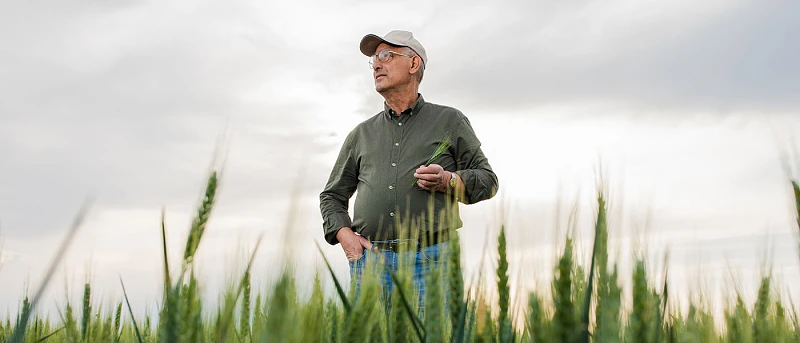 Αγροτικά - Λεπίδι στη νέα ΚΑΠ μετά το ’27 - Υπερδανεισμός Ευρώπης για πόλεμο στην Ουκρανία Αγροτικά - Λεπίδι στη νέα ΚΑΠ μετά το ’27 - Υπερδανεισμός Ευρώπης για πόλεμο στην Ουκρανία