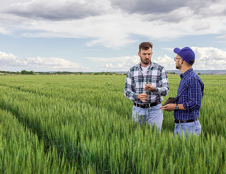 Αγροτικά - Ομαδική έξοδος 75.900 απασχολούμενων στο αγροτικό επάγγελμα, μέσα σε ένα χρόνο Αγροτικά - Ομαδική έξοδος 75.900 απασχολούμενων στο αγροτικό επάγγελμα, μέσα σε ένα χρόνο