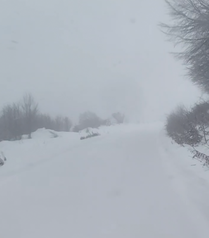 ΚΑΡΔΙΤΣΑ - Ανοιξιάτικο λευκό τοπίο στα μεγαλύτερα υψόμετρα των ορεινών του Νομού Καρδίτσας (ΦΩΤΟ) ΚΑΡΔΙΤΣΑ - Ανοιξιάτικο λευκό τοπίο στα μεγαλύτερα υψόμετρα των ορεινών του Νομού Καρδίτσας (ΦΩΤΟ)