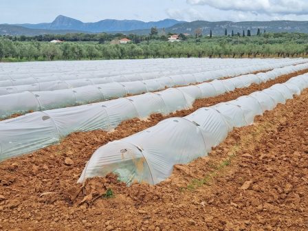 Αγροτικά - Ανατιμήσεις-σοκ στα αγροτικά πλαστικά λόγω γεωπολιτικής κρίσης Αγροτικά - Ανατιμήσεις-σοκ στα αγροτικά πλαστικά λόγω γεωπολιτικής κρίσης